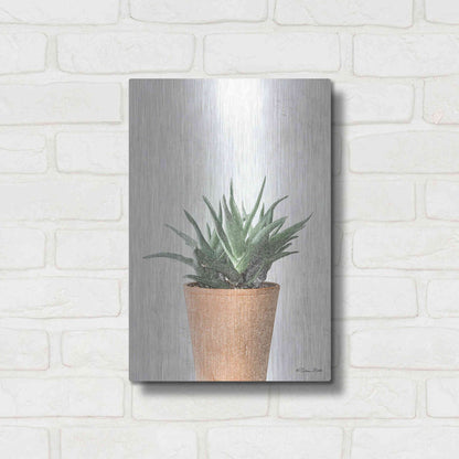 Luxe Metal Art 'Succulents I' by Susan Ball, Metal Wall Art,12x16