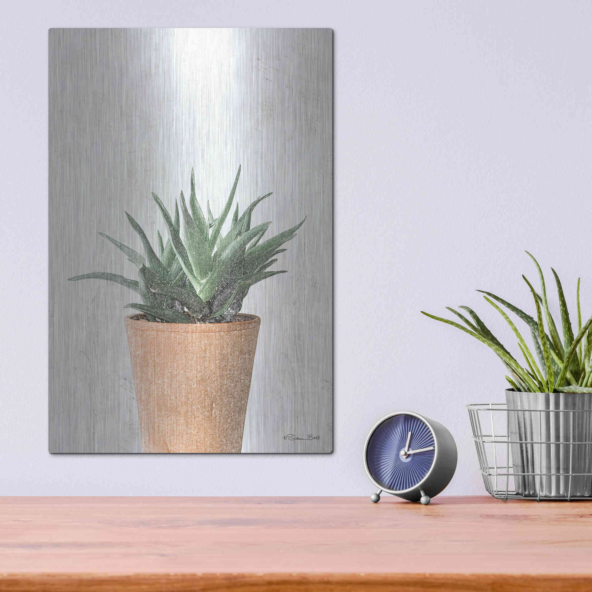 Luxe Metal Art 'Succulents I' by Susan Ball, Metal Wall Art,12x16