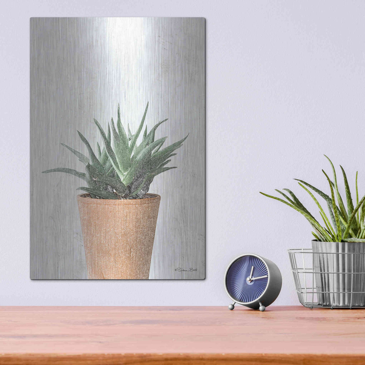 Luxe Metal Art 'Succulents I' by Susan Ball, Metal Wall Art,12x16