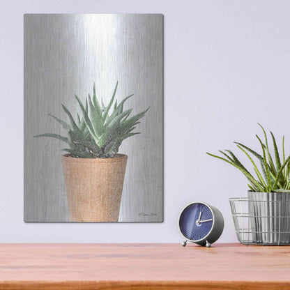 Luxe Metal Art 'Succulents I' by Susan Ball, Metal Wall Art,12x16