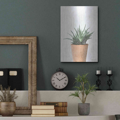 Luxe Metal Art 'Succulents I' by Susan Ball, Metal Wall Art,12x16