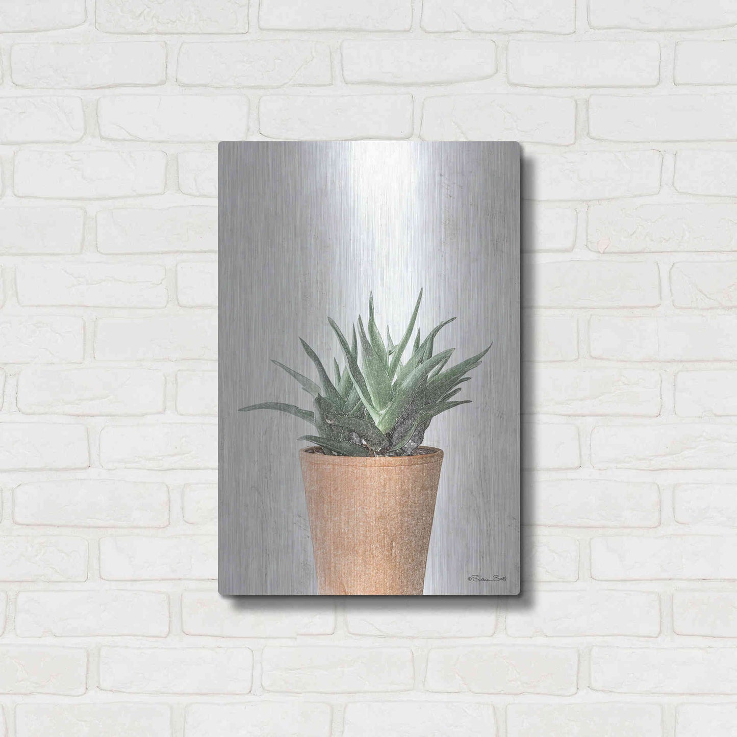 Luxe Metal Art 'Succulents I' by Susan Ball, Metal Wall Art,16x24