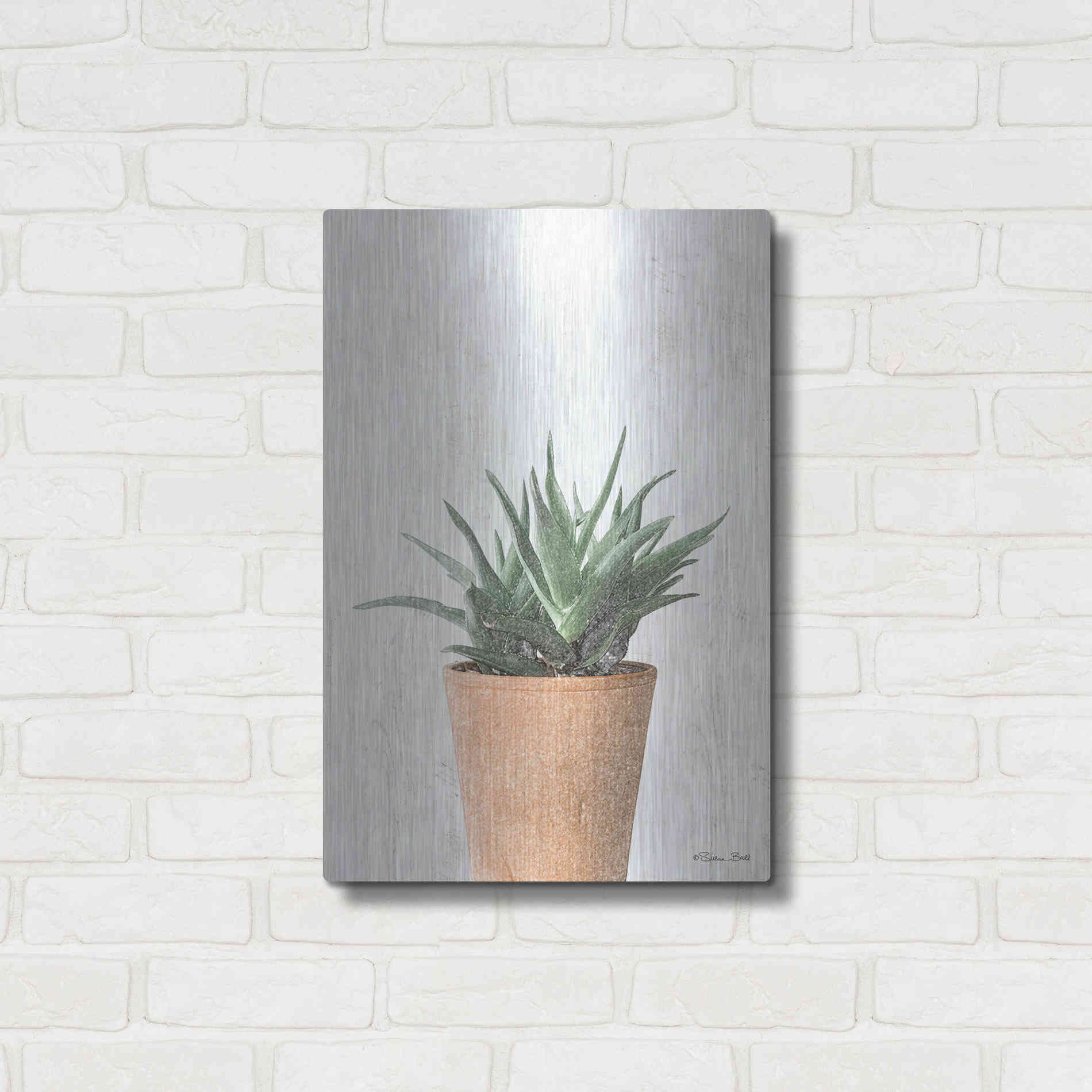 Luxe Metal Art 'Succulents I' by Susan Ball, Metal Wall Art,16x24