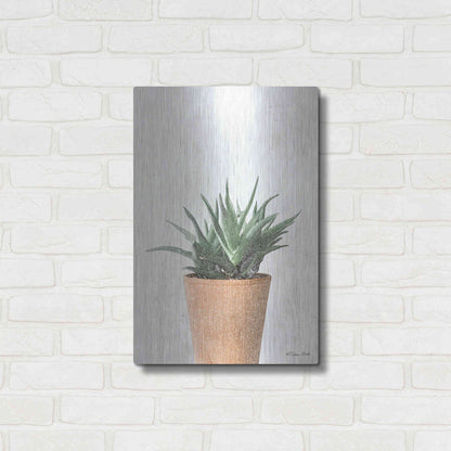 Luxe Metal Art 'Succulents I' by Susan Ball, Metal Wall Art,16x24