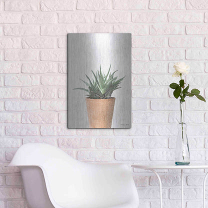 Luxe Metal Art 'Succulents I' by Susan Ball, Metal Wall Art,16x24