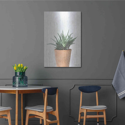 Luxe Metal Art 'Succulents I' by Susan Ball, Metal Wall Art,24x36