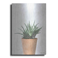 Luxe Metal Art 'Succulents I' by Susan Ball, Metal Wall Art
