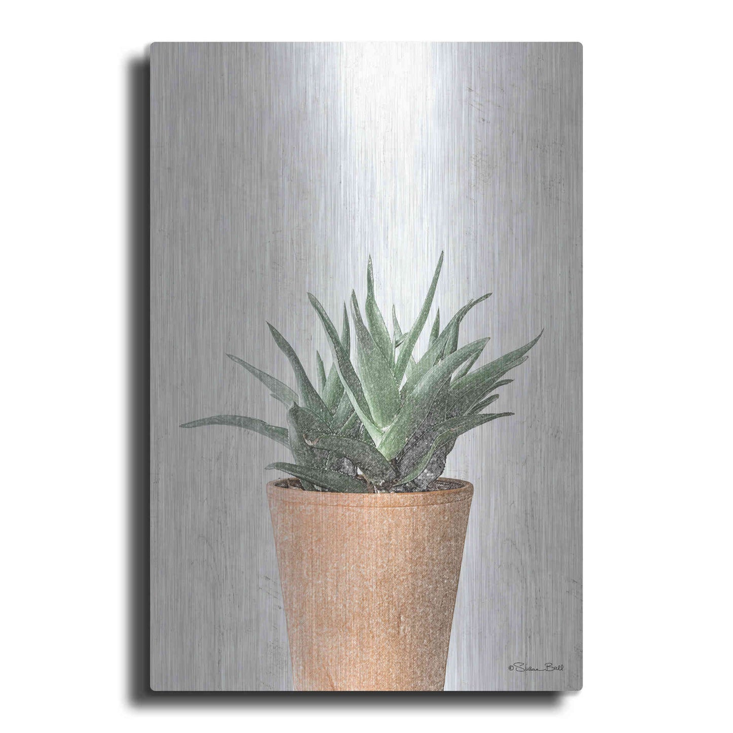 Luxe Metal Art 'Succulents I' by Susan Ball, Metal Wall Art