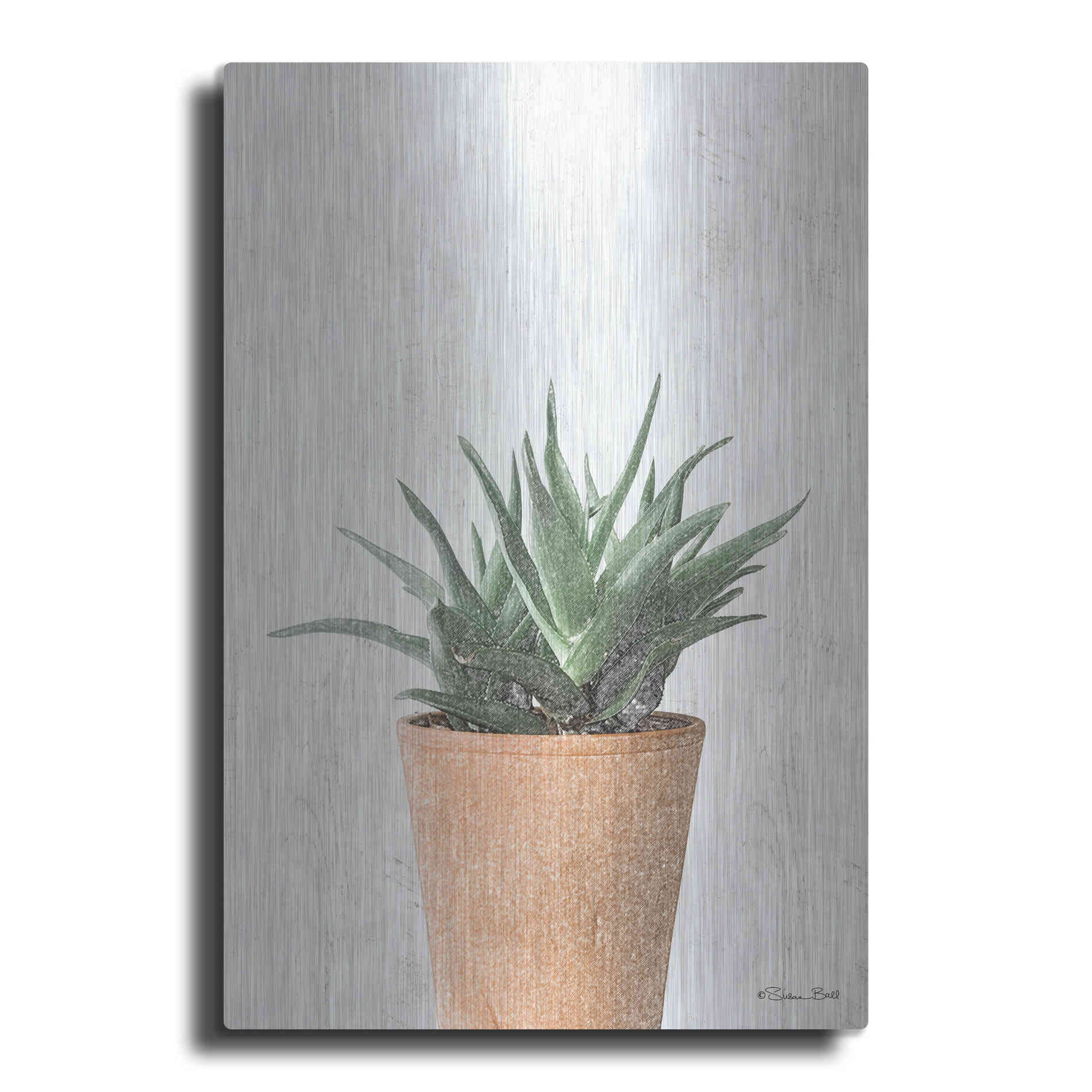 Luxe Metal Art 'Succulents I' by Susan Ball, Metal Wall Art