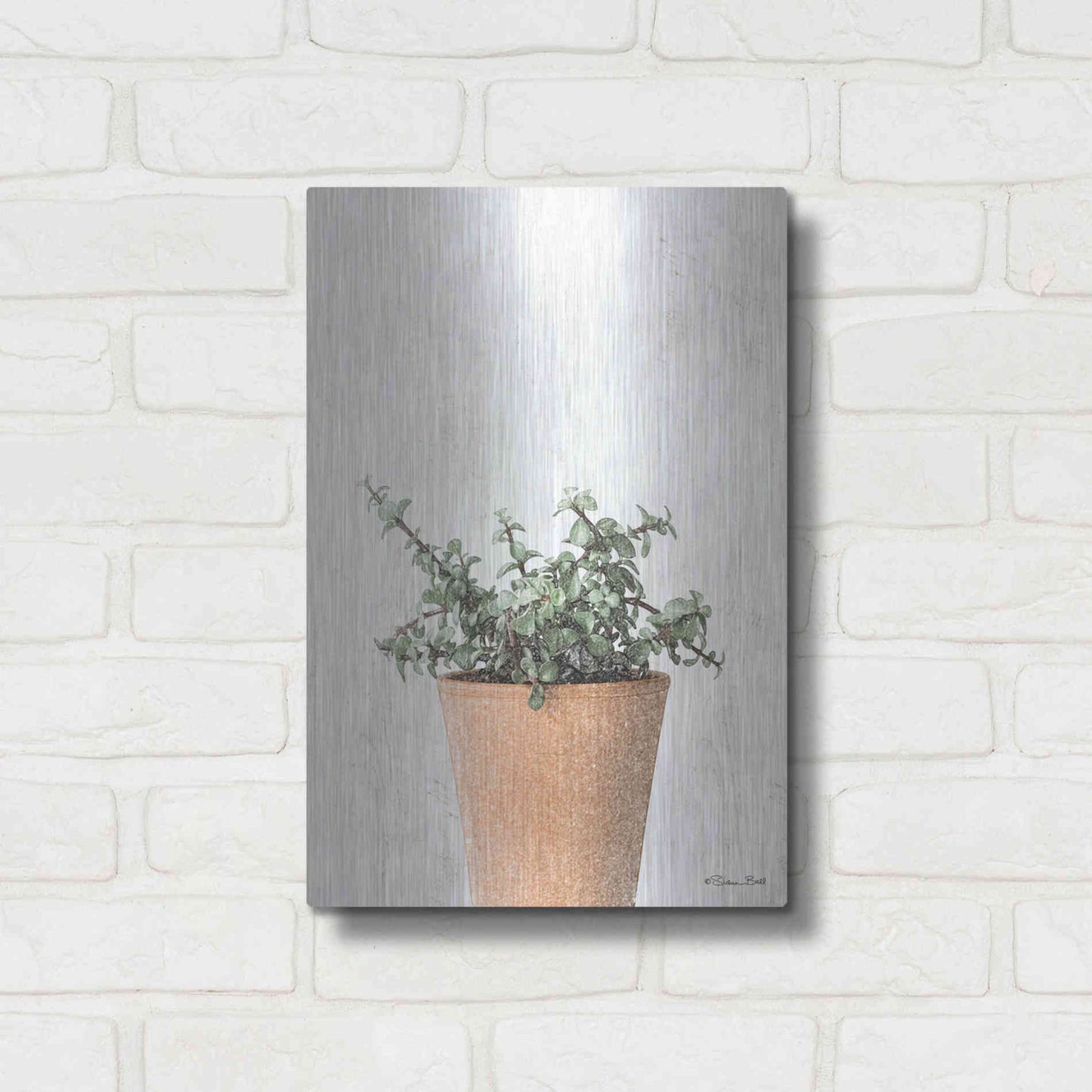 Luxe Metal Art 'Succulents II' by Susan Ball, Metal Wall Art,12x16
