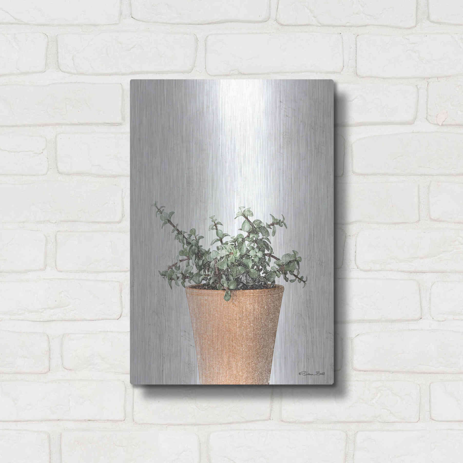 Luxe Metal Art 'Succulents II' by Susan Ball, Metal Wall Art,12x16