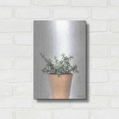 Luxe Metal Art 'Succulents II' by Susan Ball, Metal Wall Art,12x16