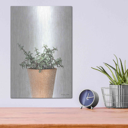 Luxe Metal Art 'Succulents II' by Susan Ball, Metal Wall Art,12x16
