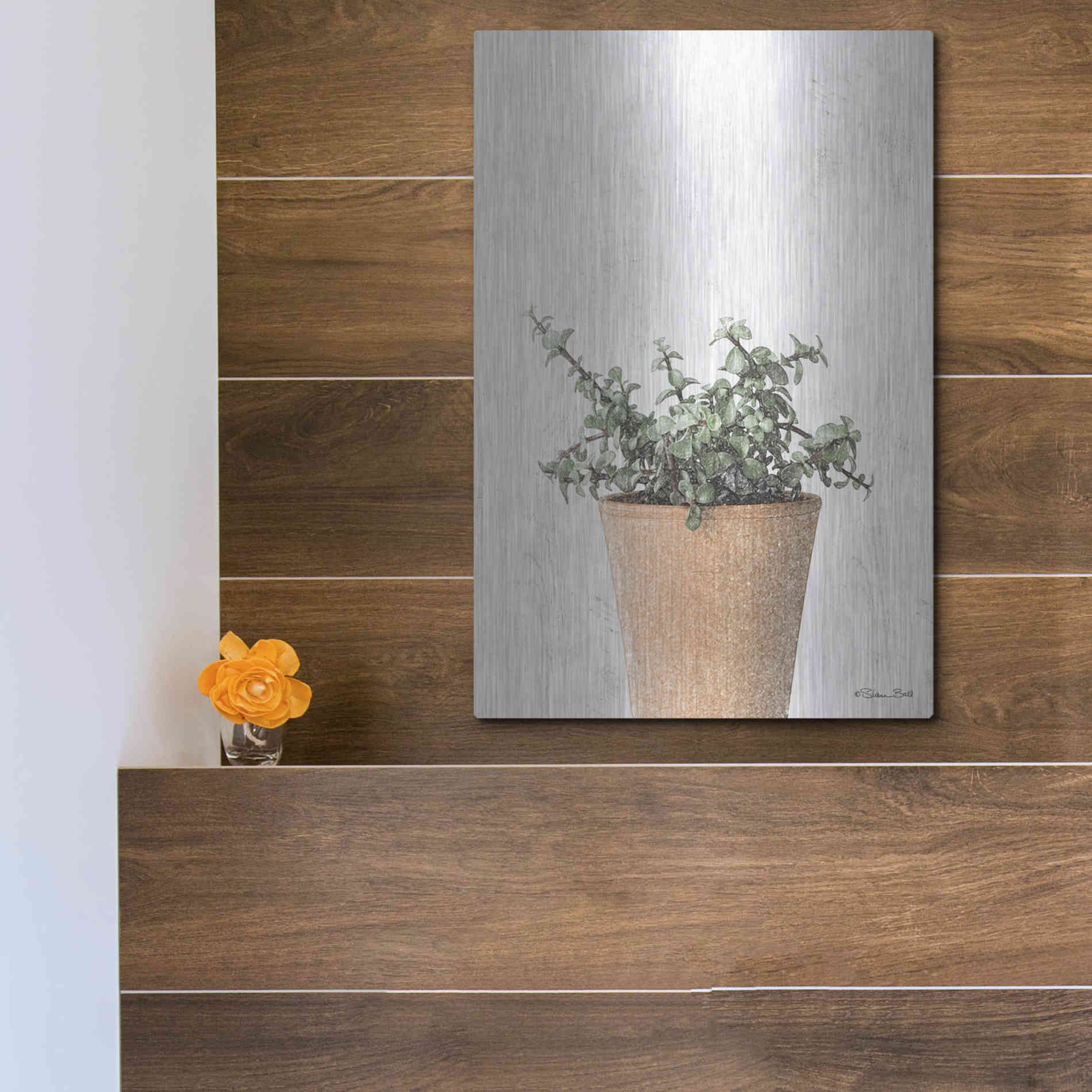 Luxe Metal Art 'Succulents II' by Susan Ball, Metal Wall Art,12x16