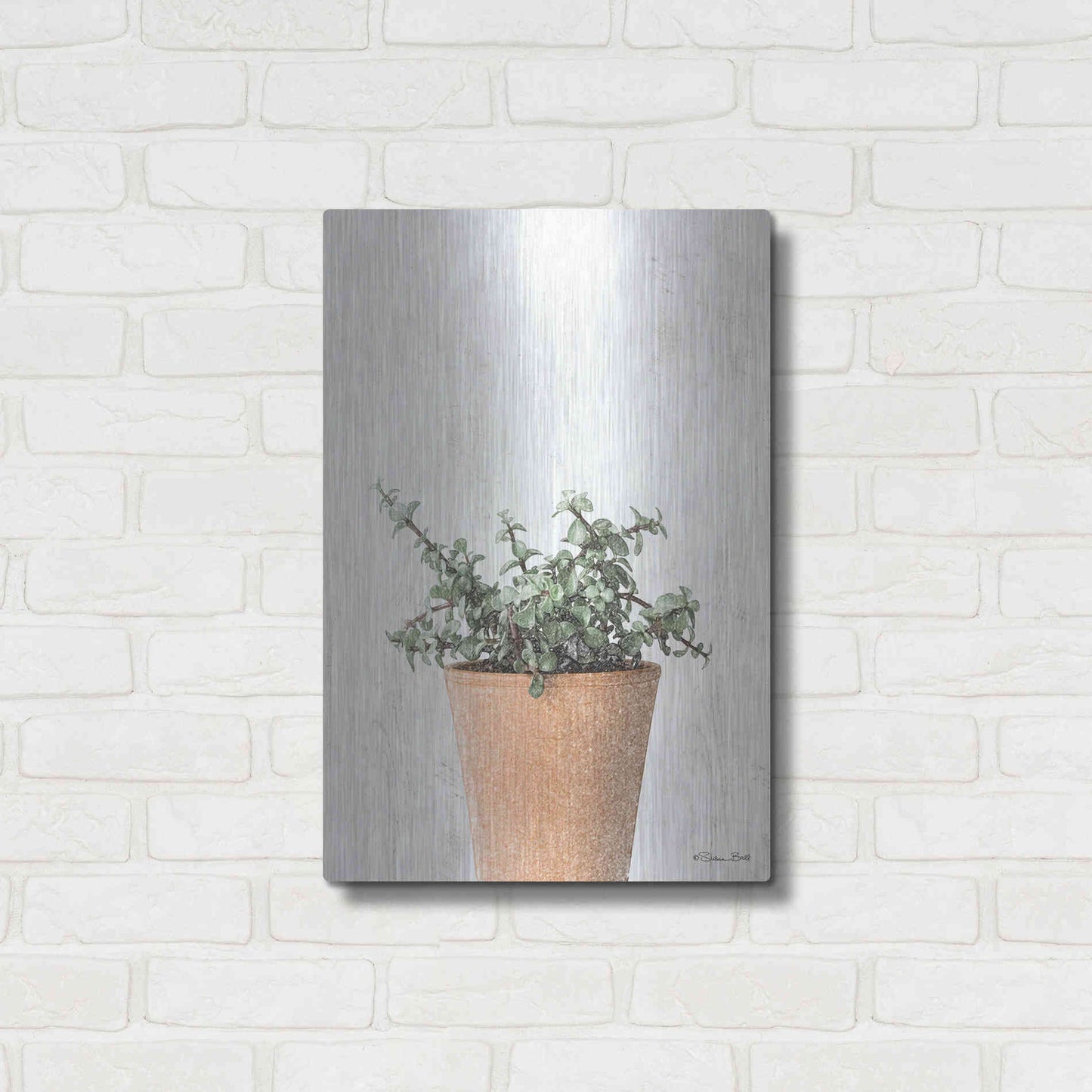 Luxe Metal Art 'Succulents II' by Susan Ball, Metal Wall Art,16x24