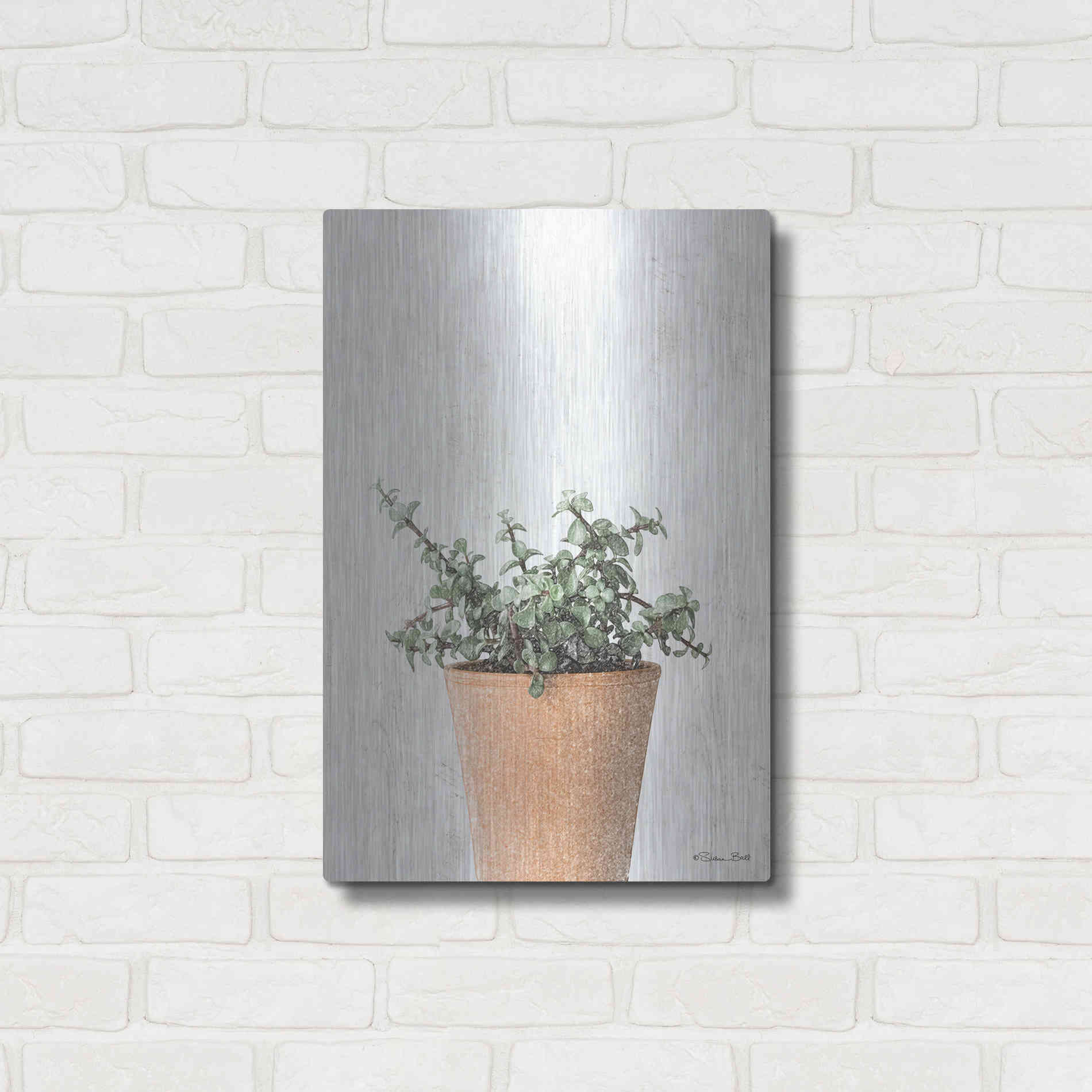 Luxe Metal Art 'Succulents II' by Susan Ball, Metal Wall Art,16x24