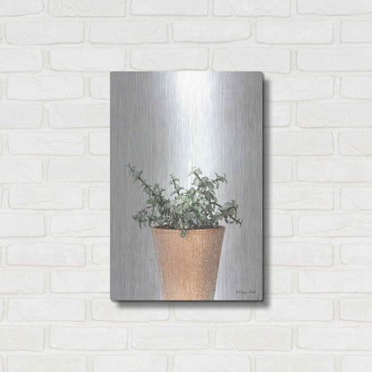 Luxe Metal Art 'Succulents II' by Susan Ball, Metal Wall Art,16x24