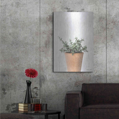 Luxe Metal Art 'Succulents II' by Susan Ball, Metal Wall Art,24x36