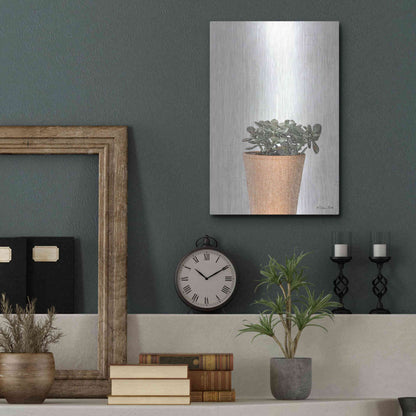 Luxe Metal Art 'Succulents III' by Susan Ball, Metal Wall Art,12x16