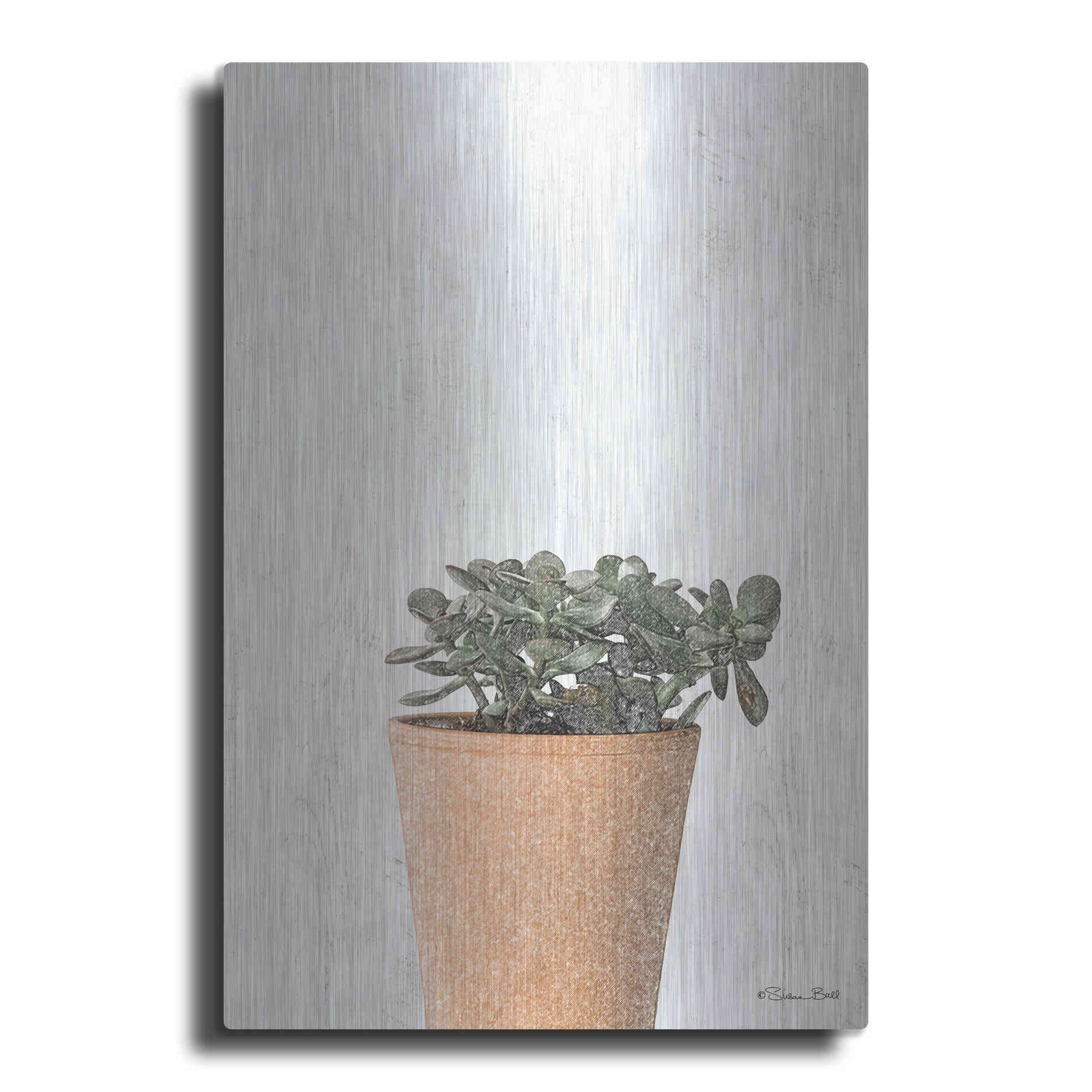 Luxe Metal Art 'Succulents III' by Susan Ball, Metal Wall Art
