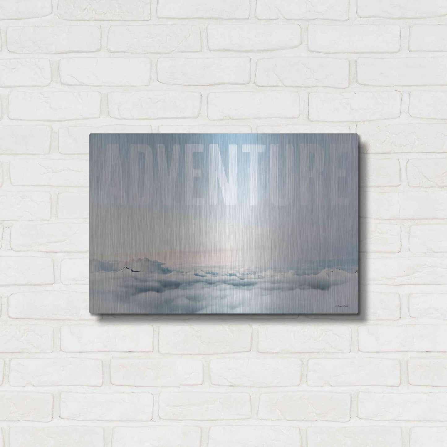 Luxe Metal Art 'Adventure' by Susan Ball, Metal Wall Art,24x16