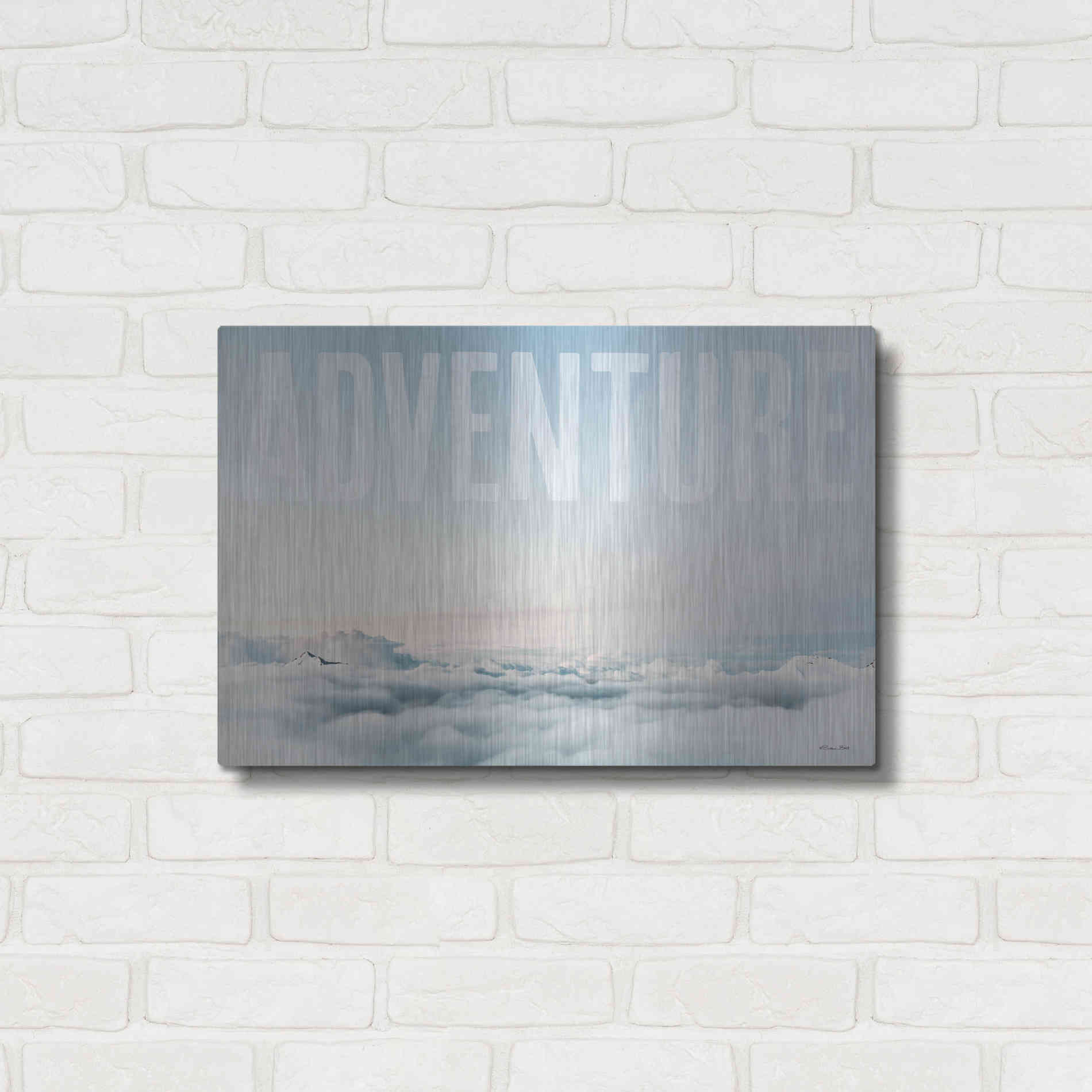 Luxe Metal Art 'Adventure' by Susan Ball, Metal Wall Art,24x16