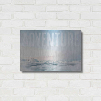 Luxe Metal Art 'Adventure' by Susan Ball, Metal Wall Art,24x16