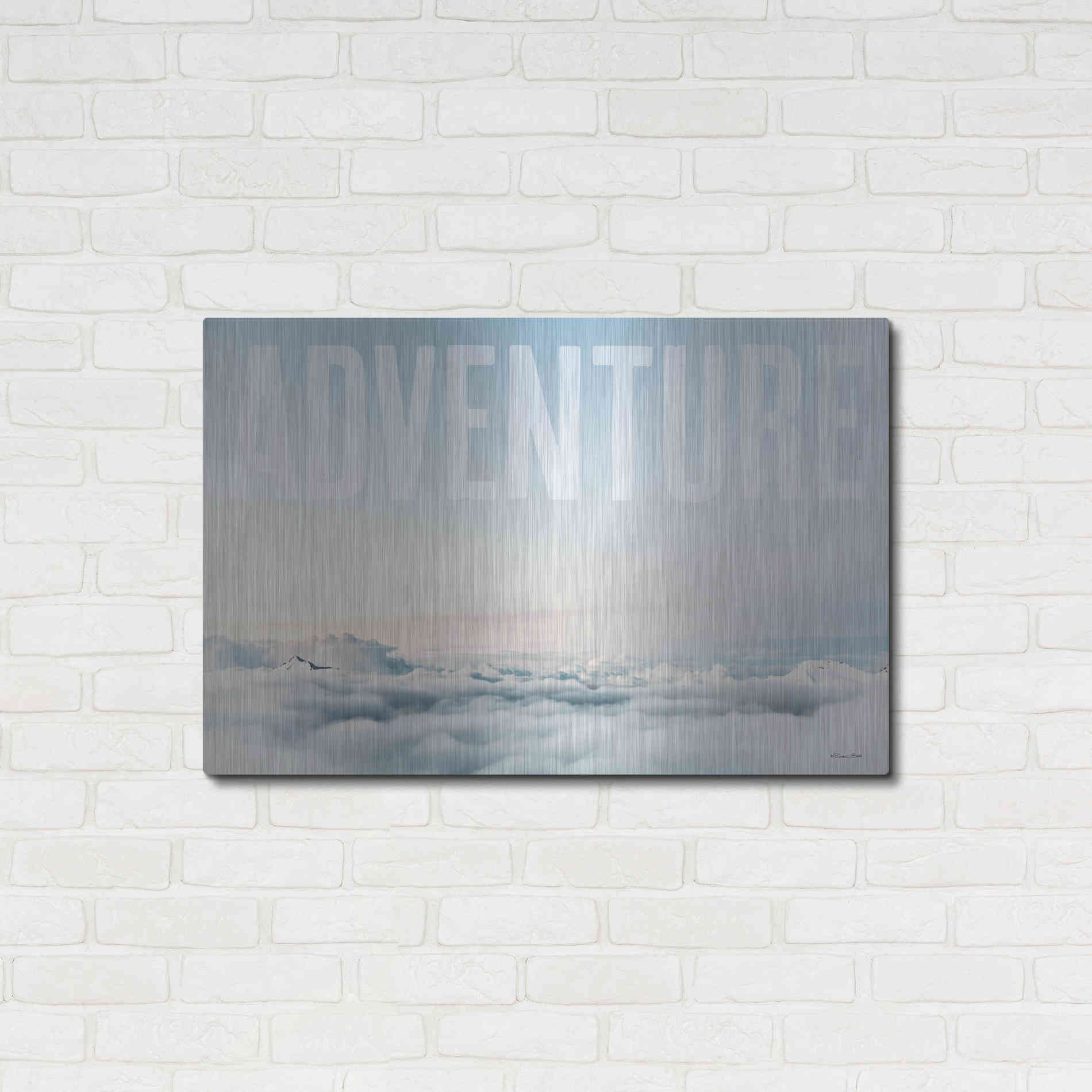 Luxe Metal Art 'Adventure' by Susan Ball, Metal Wall Art,36x24