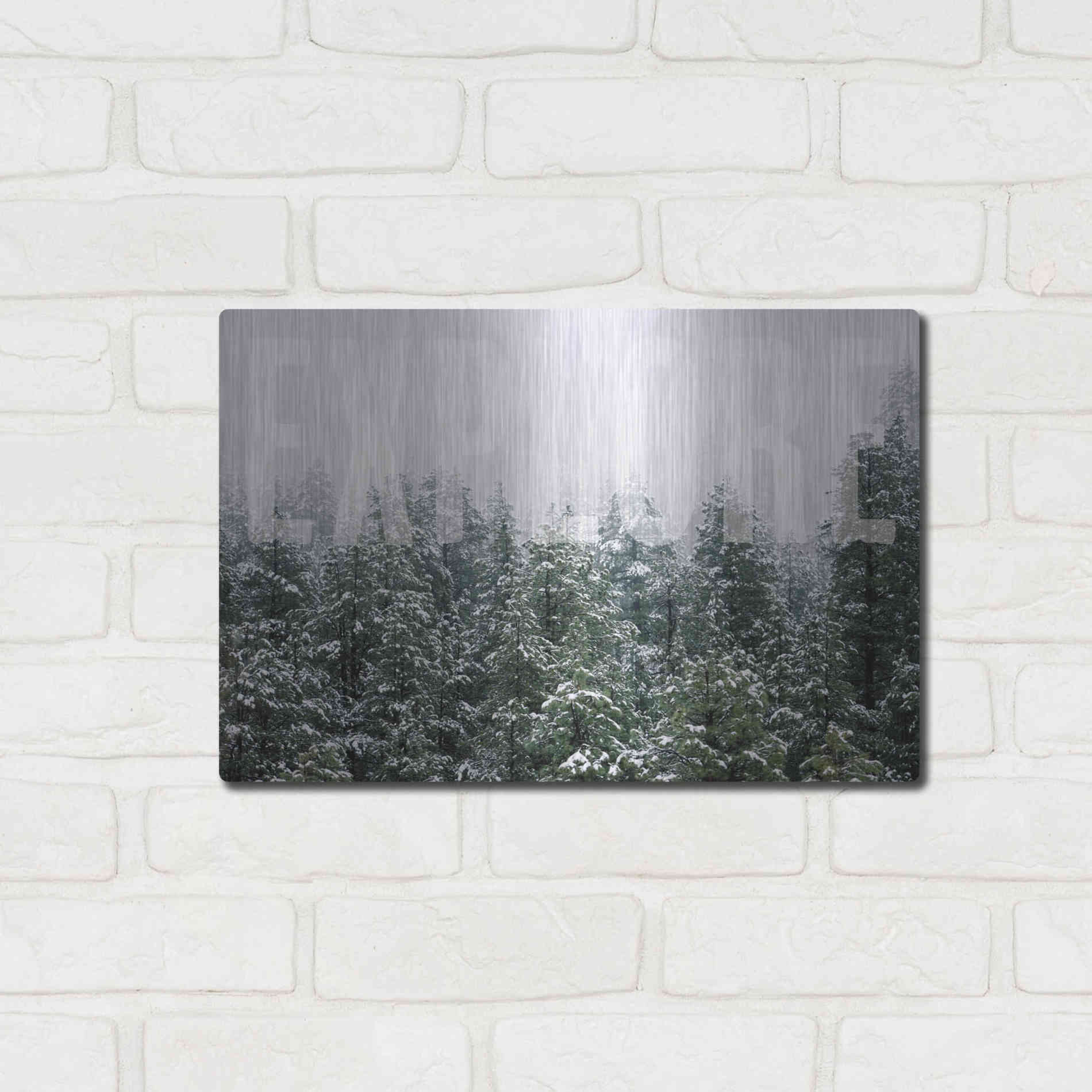 Luxe Metal Art 'Explore' by Susan Ball, Metal Wall Art,16x12