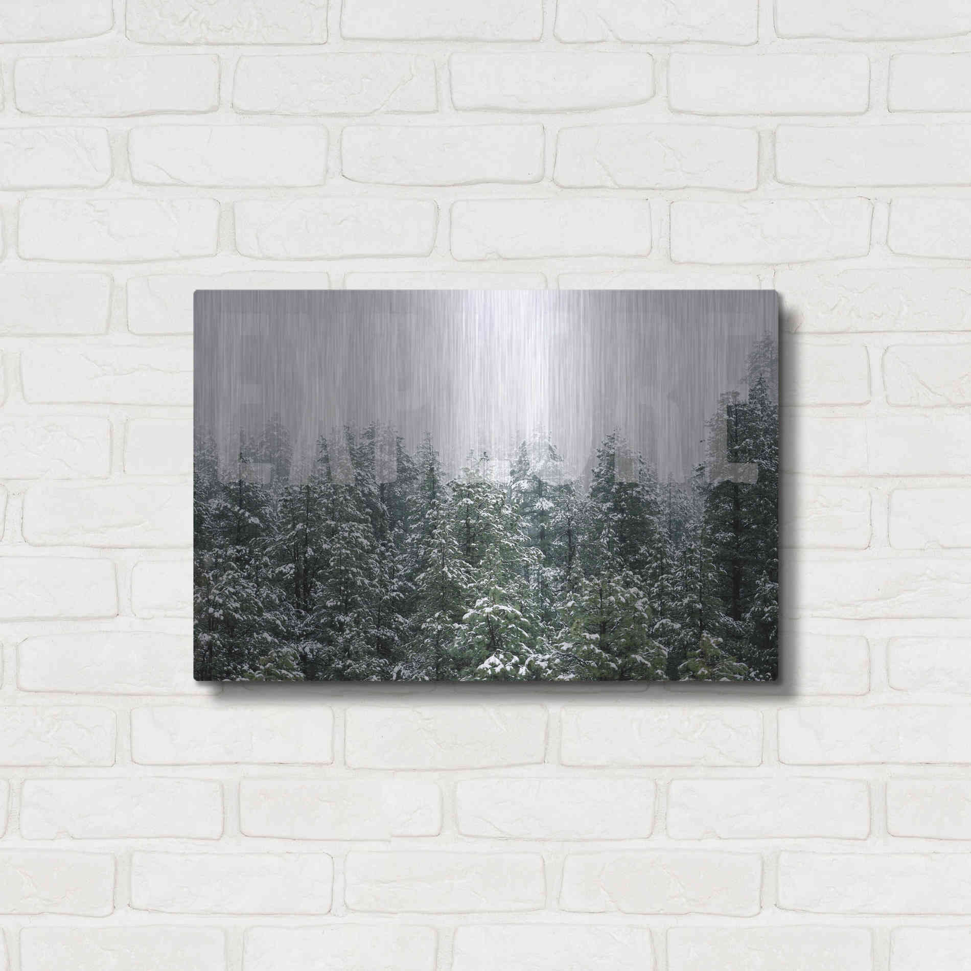 Luxe Metal Art 'Explore' by Susan Ball, Metal Wall Art,24x16