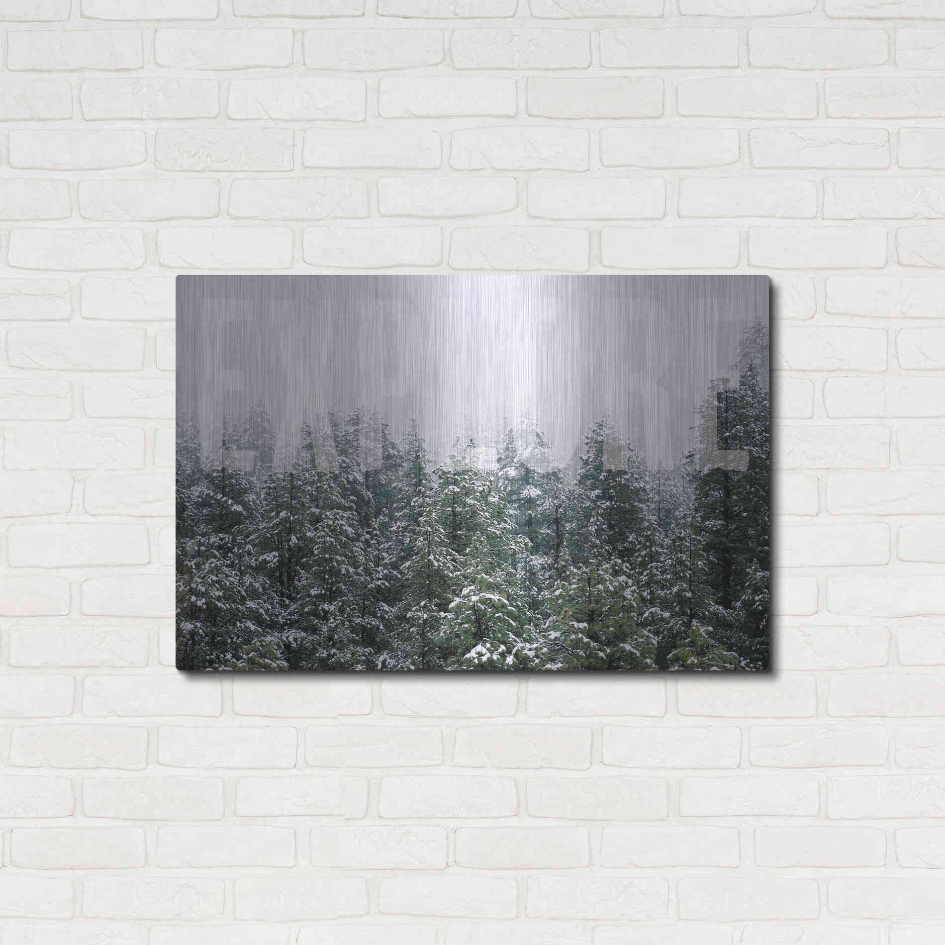 Luxe Metal Art 'Explore' by Susan Ball, Metal Wall Art,36x24