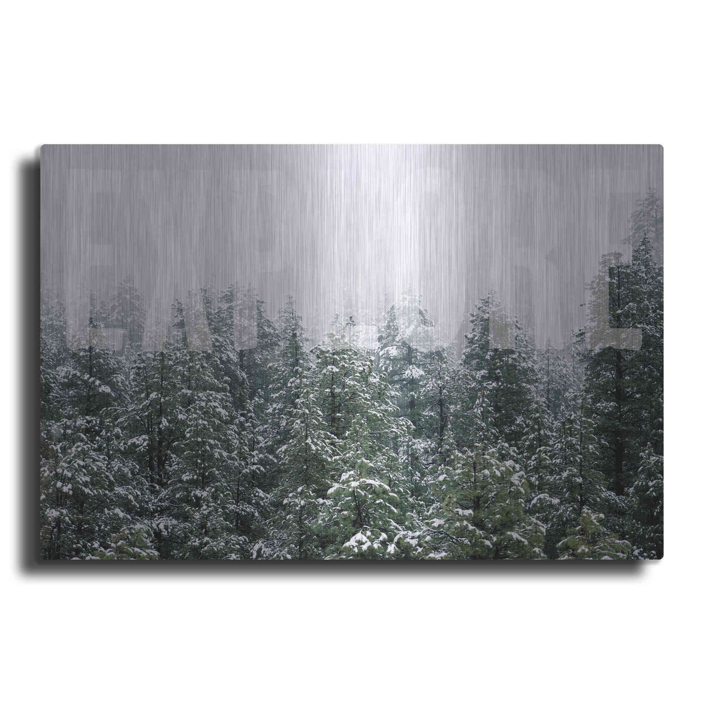 Luxe Metal Art 'Explore' by Susan Ball, Metal Wall Art