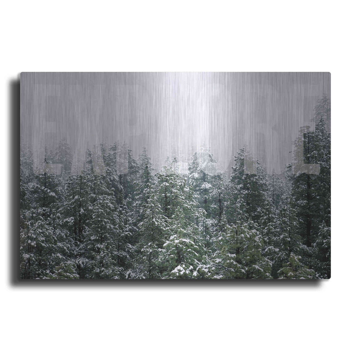Luxe Metal Art 'Explore' by Susan Ball, Metal Wall Art