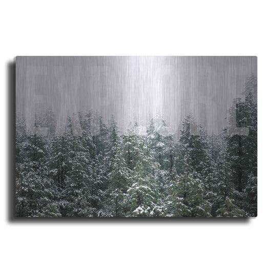 Luxe Metal Art 'Explore' by Susan Ball, Metal Wall Art