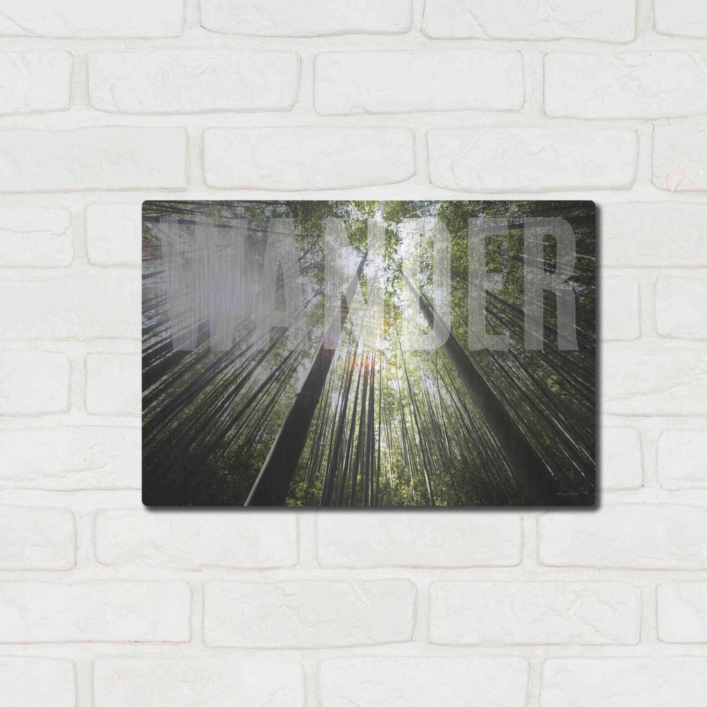 Luxe Metal Art 'Wander' by Susan Ball, Metal Wall Art,16x12