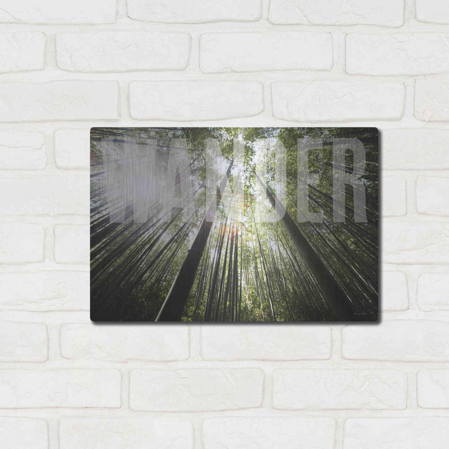 Luxe Metal Art 'Wander' by Susan Ball, Metal Wall Art,16x12