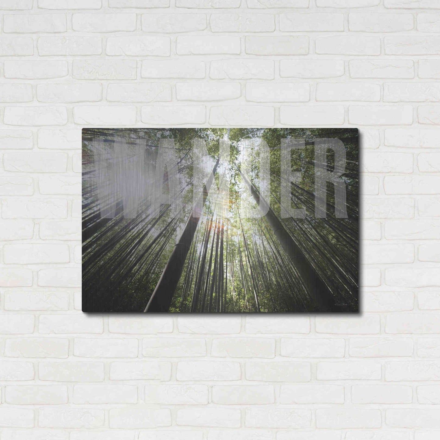 Luxe Metal Art 'Wander' by Susan Ball, Metal Wall Art,36x24