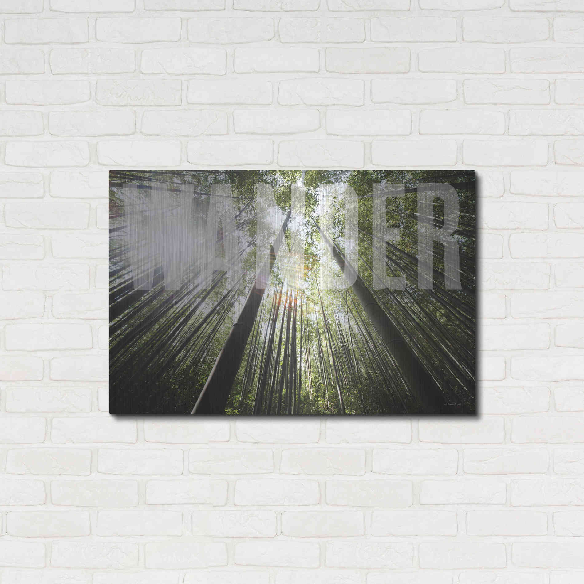 Luxe Metal Art 'Wander' by Susan Ball, Metal Wall Art,36x24