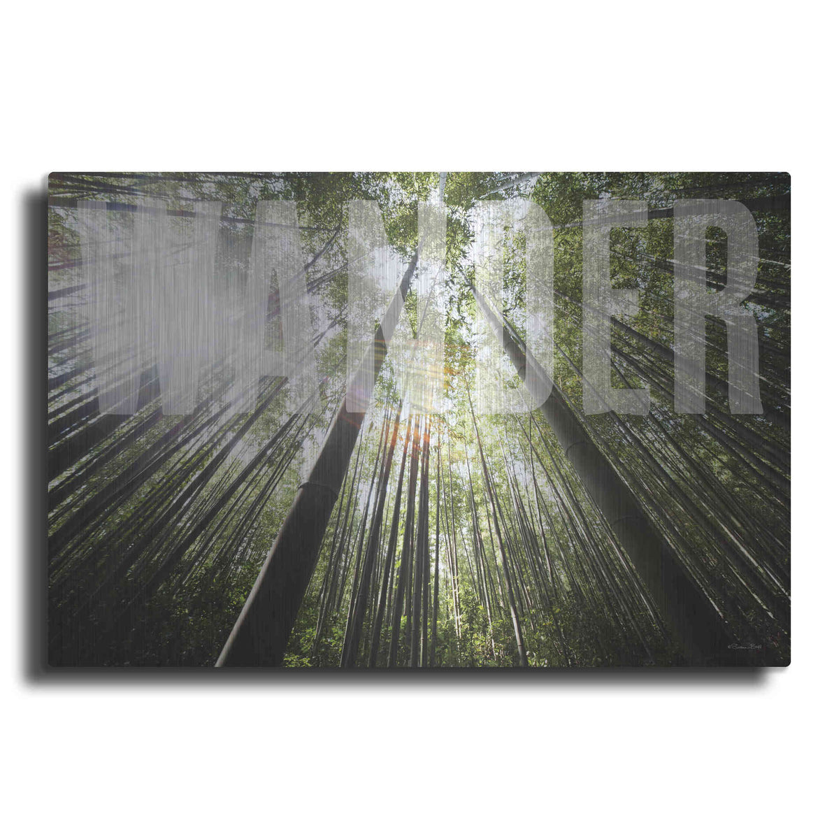 Luxe Metal Art 'Wander' by Susan Ball, Metal Wall Art