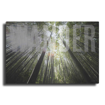 Luxe Metal Art 'Wander' by Susan Ball, Metal Wall Art