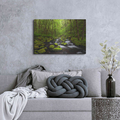 Luxe Metal Art 'Where The Green Grows' by Darren White, Metal Wall Art,36x24