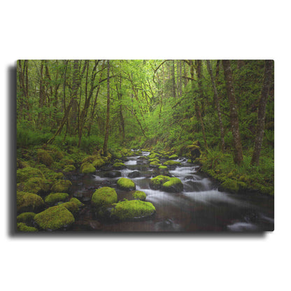 Luxe Metal Art 'Where The Green Grows' by Darren White, Metal Wall Art