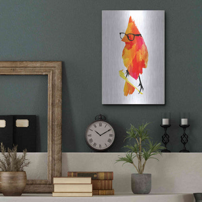 Luxe Metal Art 'Punk Bird' by Robert Farkas, Metal Wall Art,12x16