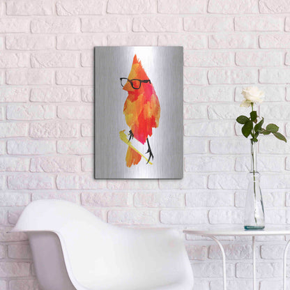 Luxe Metal Art 'Punk Bird' by Robert Farkas, Metal Wall Art,16x24