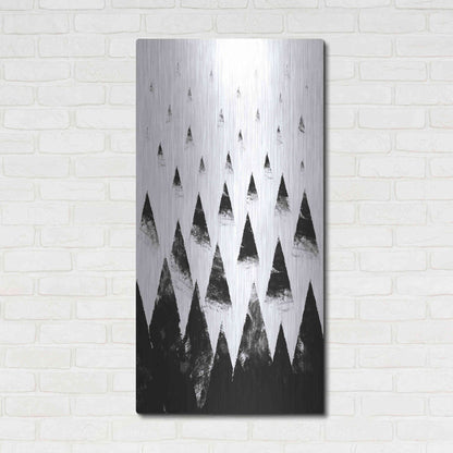 Luxe Metal Art 'Black Hills' by Robert Farkas, Metal Wall Art,24x48