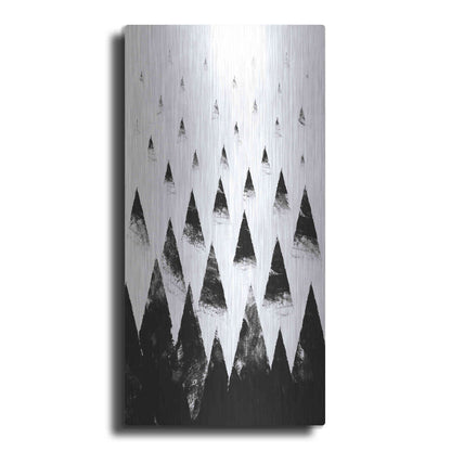 Luxe Metal Art 'Black Hills' by Robert Farkas, Metal Wall Art