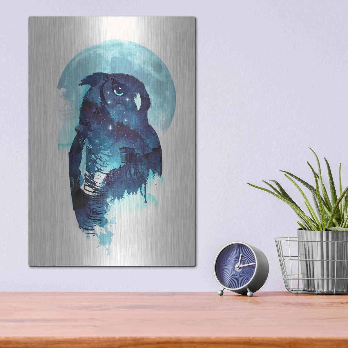 Luxe Metal Art 'Midnight Owl' by Robert Farkas, Metal Wall Art,12x16