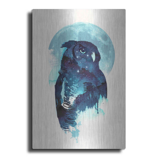 Luxe Metal Art 'Midnight Owl' by Robert Farkas, Metal Wall Art