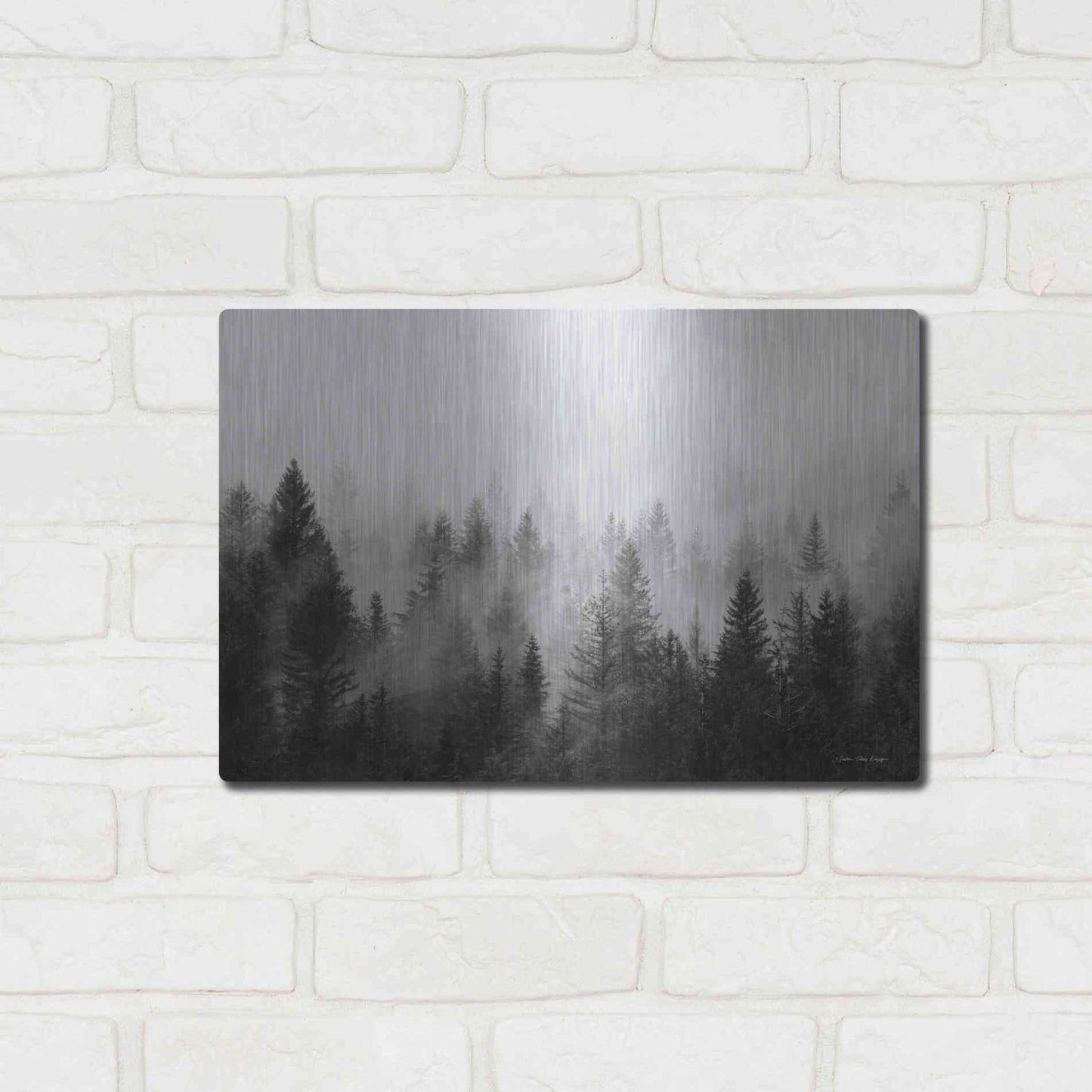 Luxe Metal Art 'Forest' by Seven Trees Design, Metal Wall Art,16x12