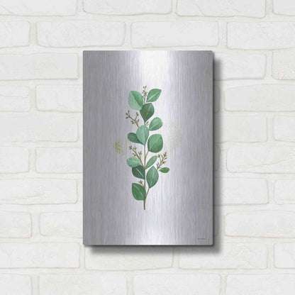 Luxe Metal Art 'Eucalyptus II' by Seven Trees Design, Metal Wall Art,12x16